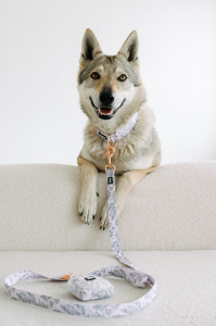 Euphoria Raya Vlčí štěstí 